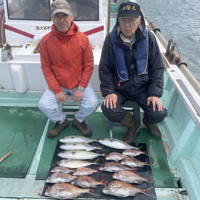 マダイ・マアジ・ハマチ(ブリ)