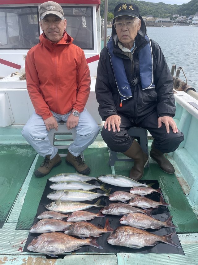 マダイ・マアジ・ハマチ(ブリ)