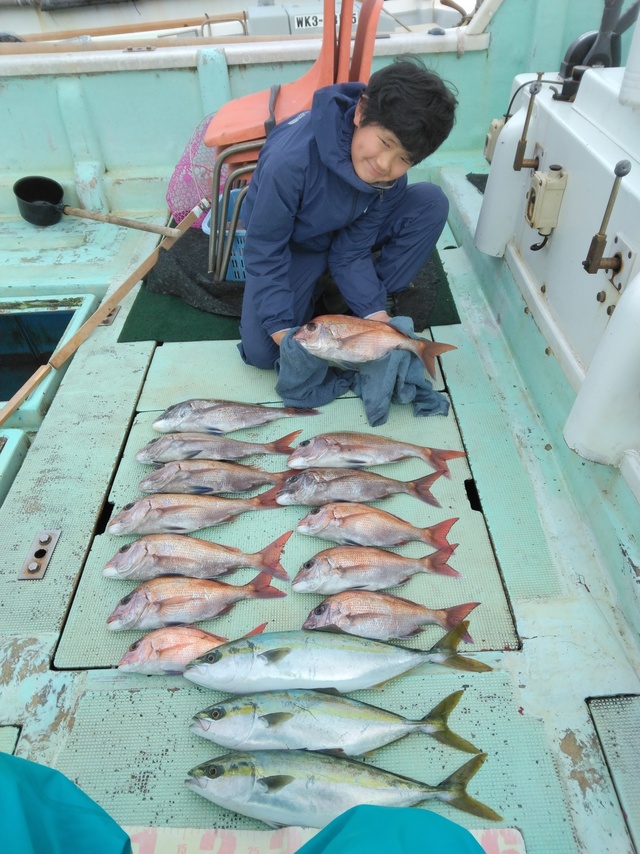 マダイ・ツバス(ブリ)