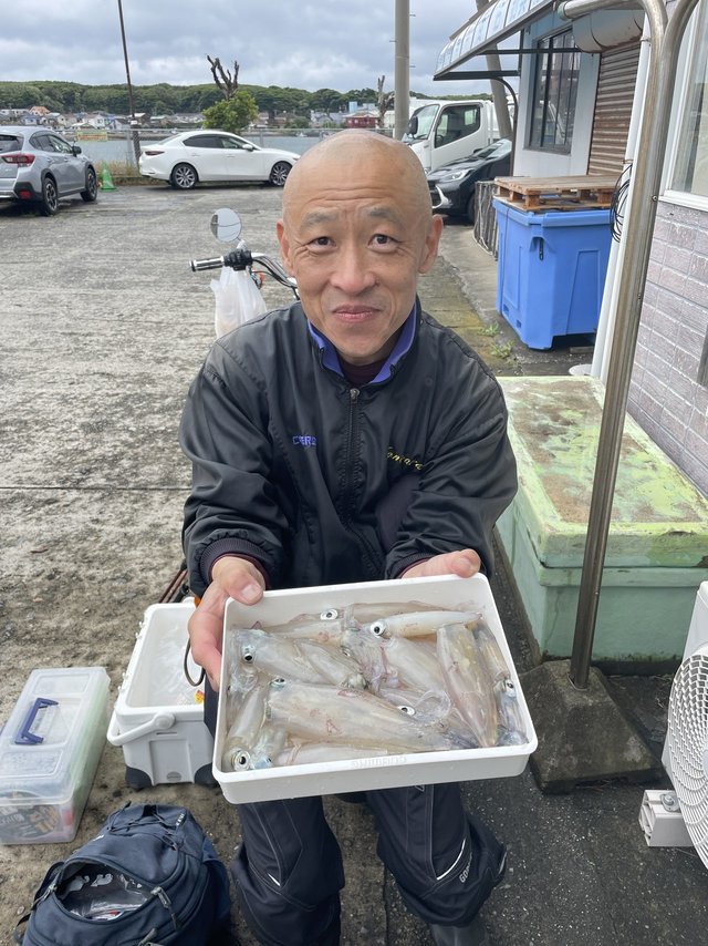 マルイカ(ケンサキイカ)