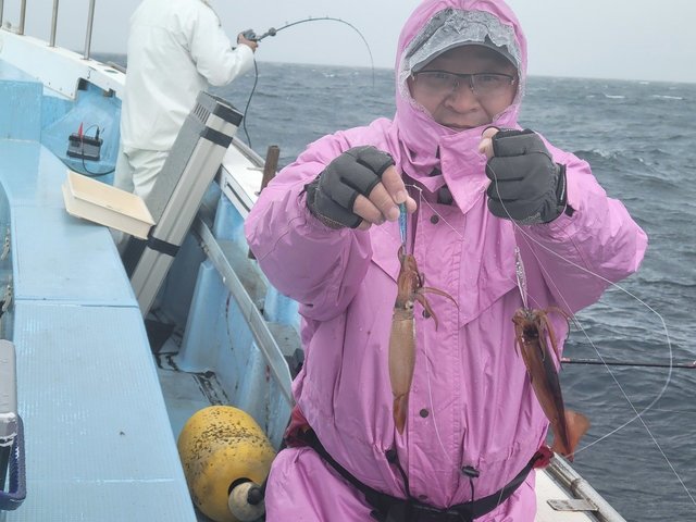 ムギイカ(スルメイカ)