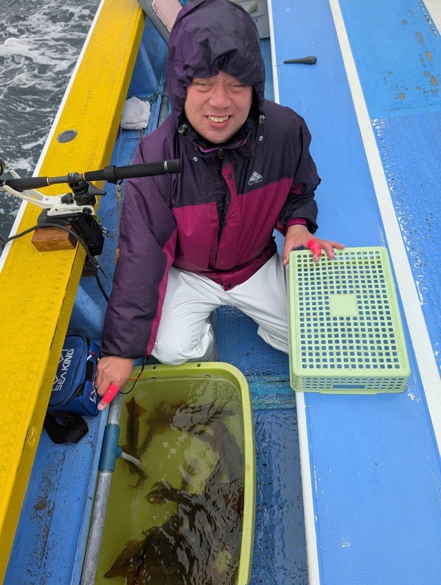 ムギイカ(スルメイカ)