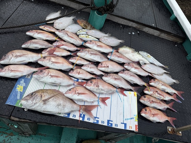 タイ(マダイ)・ガンゾウヒラメ(ガンゾウビラメ)・トラフグ