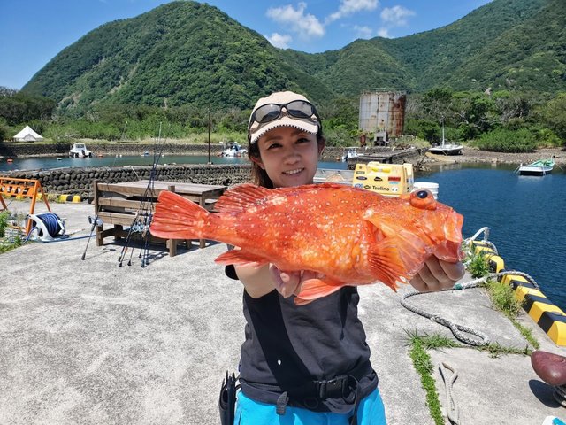 カンコ(ウッカリカサゴ)