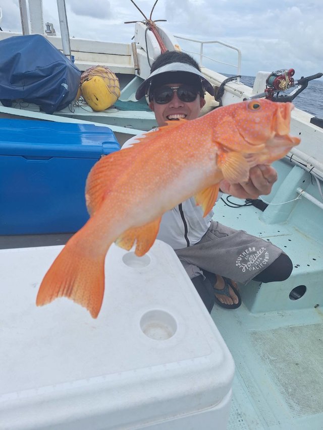 アカジン(スジアラ)