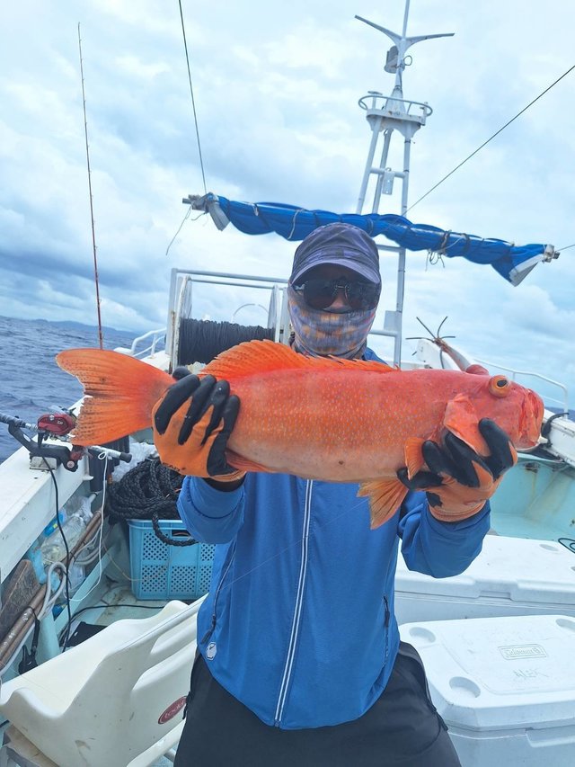 アカジン(スジアラ)