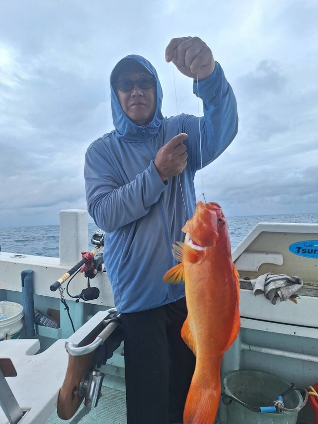 アカジン(スジアラ)