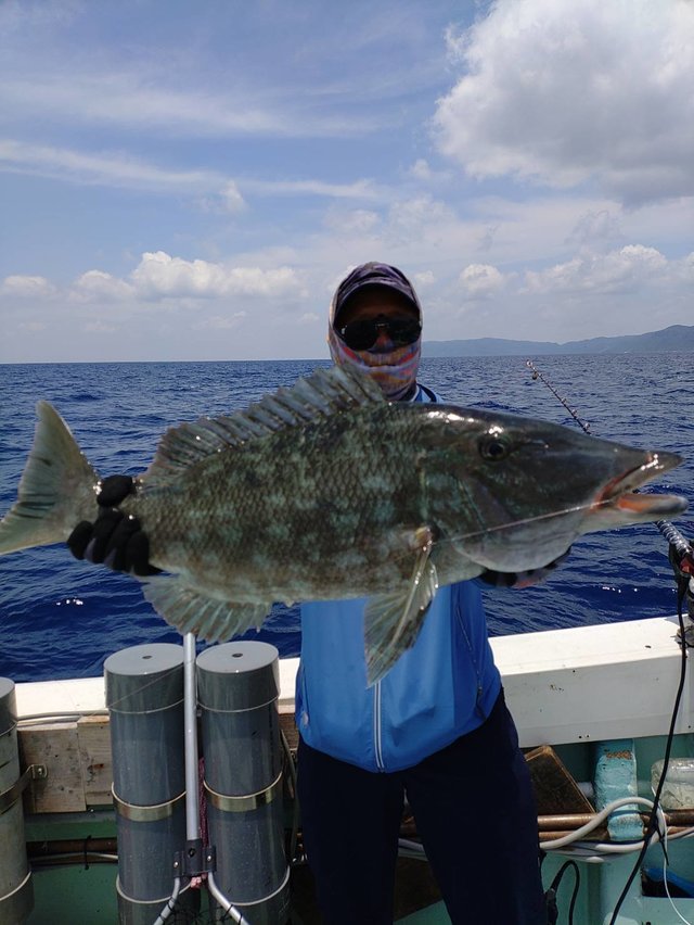 キツネフエフキ