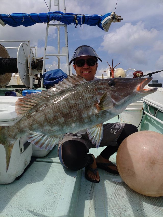 キツネフエフキ