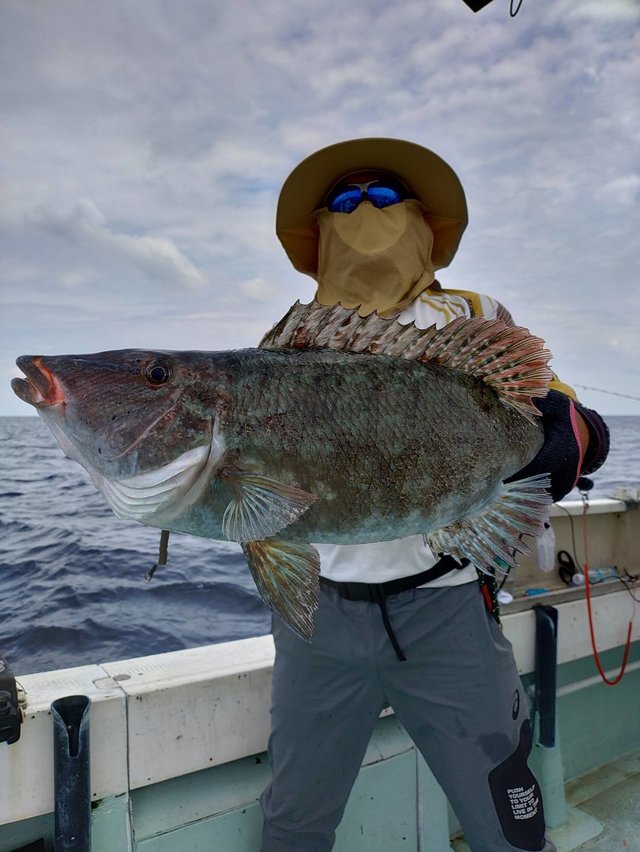 キツネフエフキ