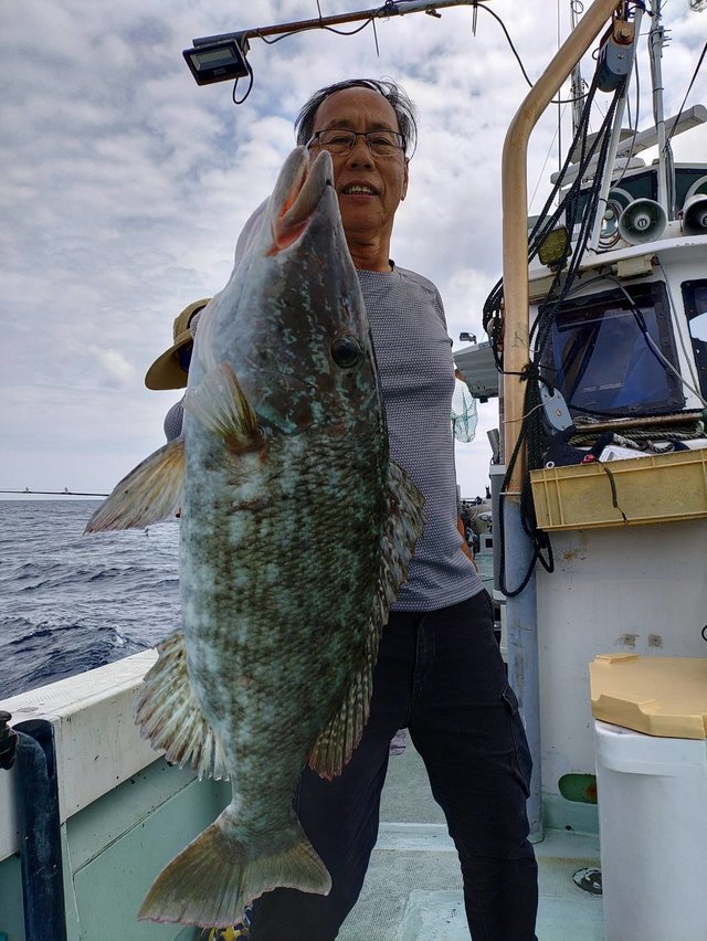 キツネフエフキ