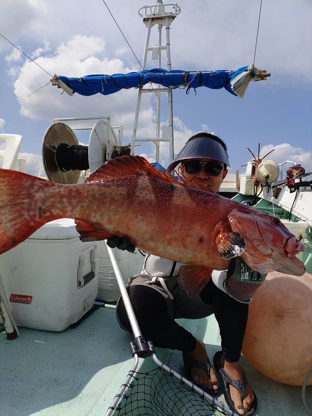 アカジン(スジアラ)