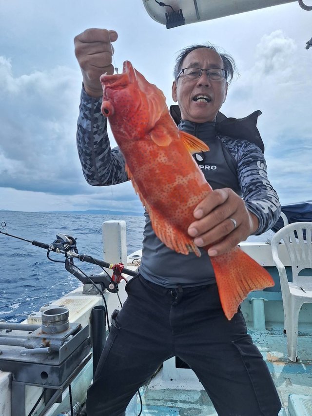 アカジン(スジアラ)