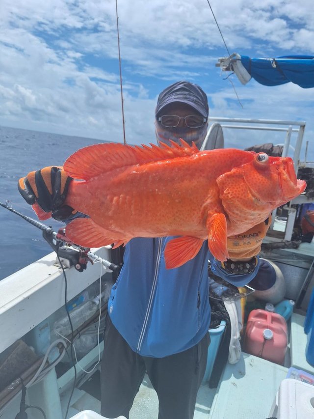 アカジン(スジアラ)