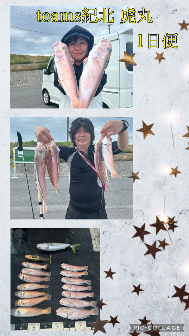 アオハタ・ハマチ(ブリ)・シロアマダイ