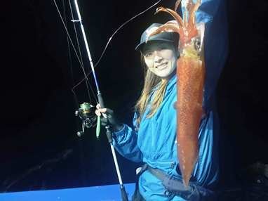 マイカ(ケンサキイカ)