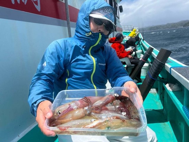 マルイカ(ケンサキイカ)