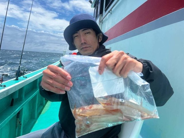 マルイカ(ケンサキイカ)