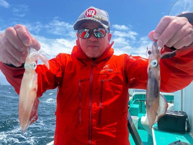 マルイカ(ケンサキイカ)