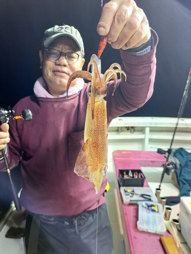 マイカ(ケンサキイカ)