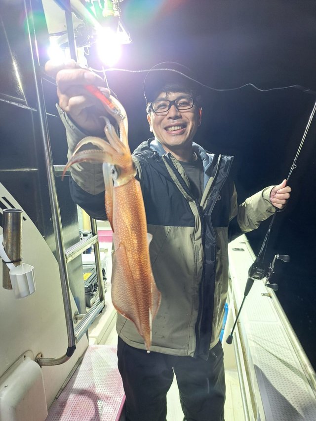 マイカ(ケンサキイカ)