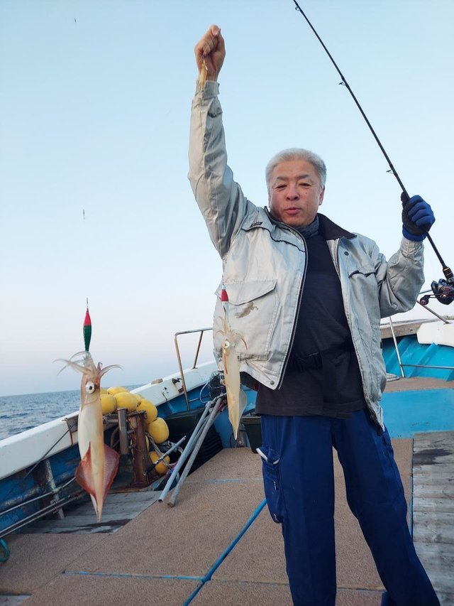 イカ(ヤリイカ)