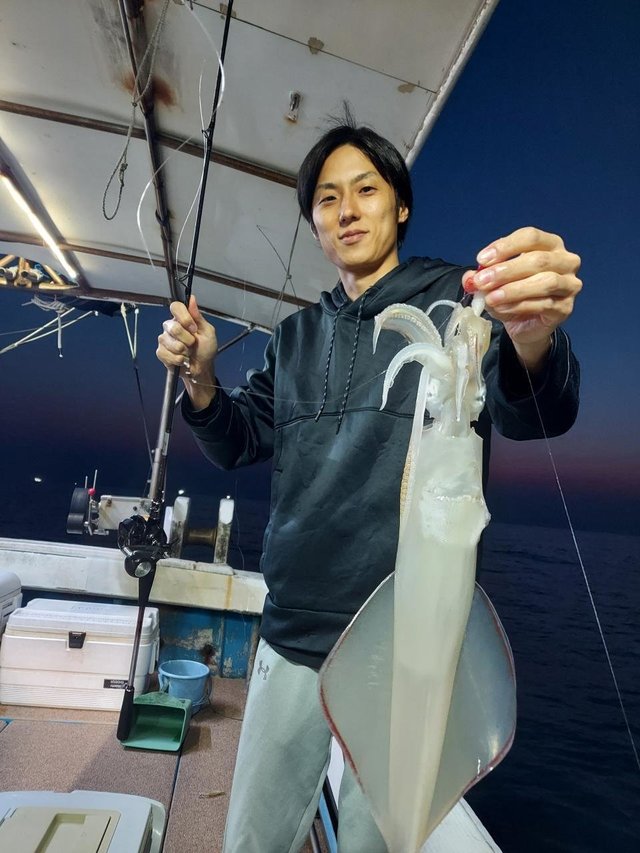 イカ(ヤリイカ)