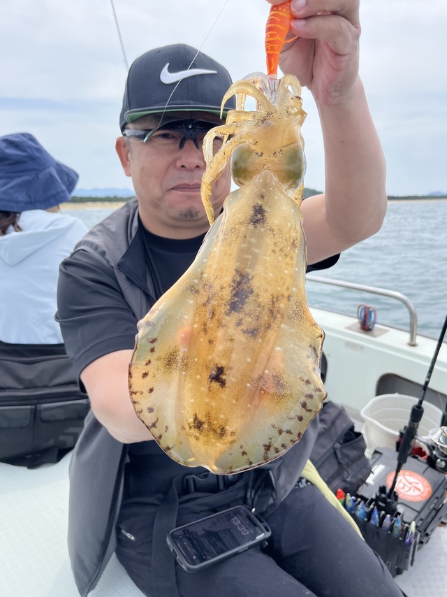 イカ(アオリイカ)