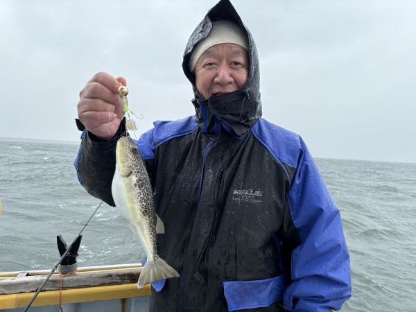 ショウサイフグ