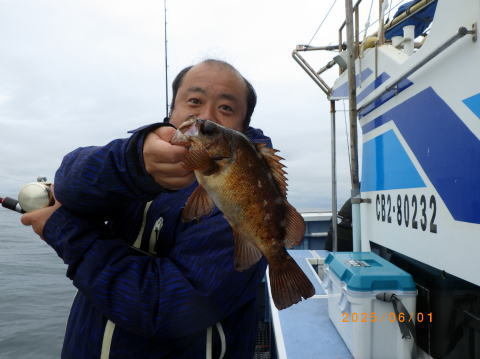 クロメバル(メバル)