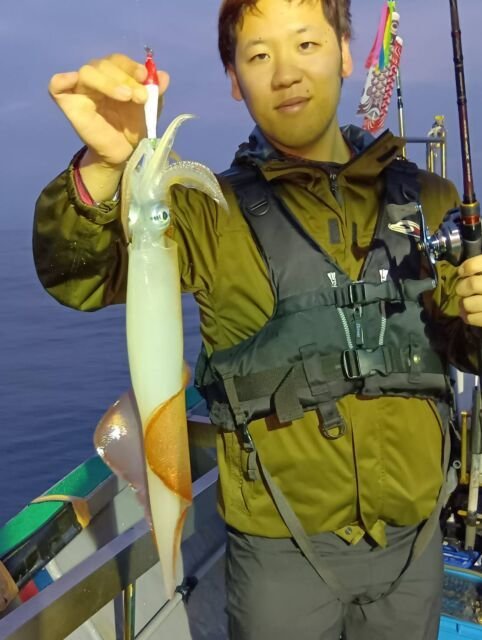 イカ(ヤリイカ)