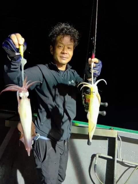 イカ(ヤリイカ)