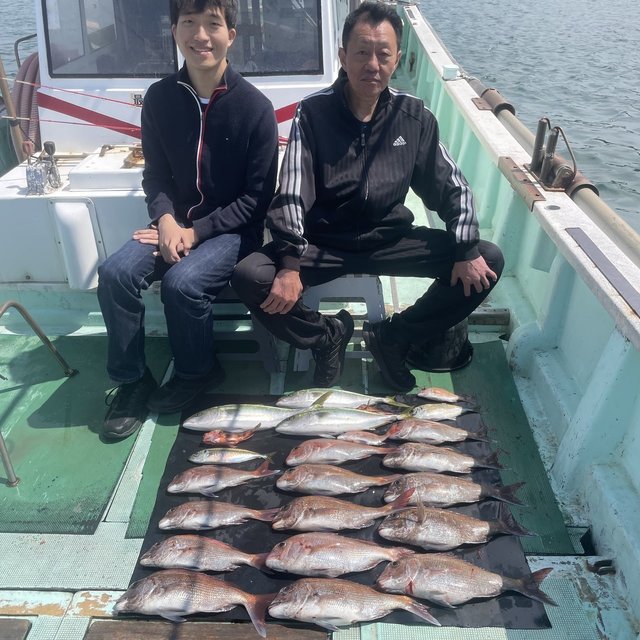 マダイ・マアジ・ハマチ(ブリ)