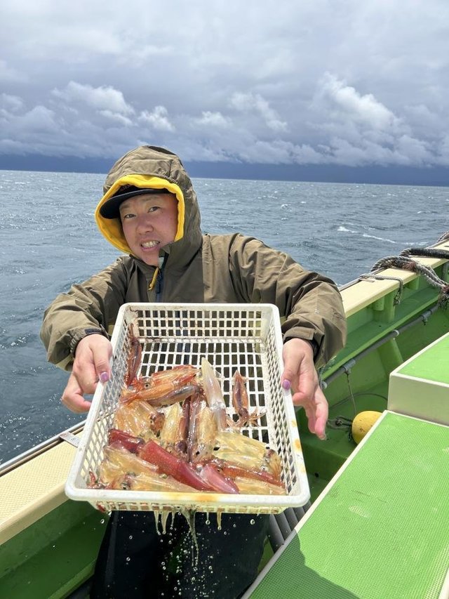 マルイカ(ケンサキイカ)