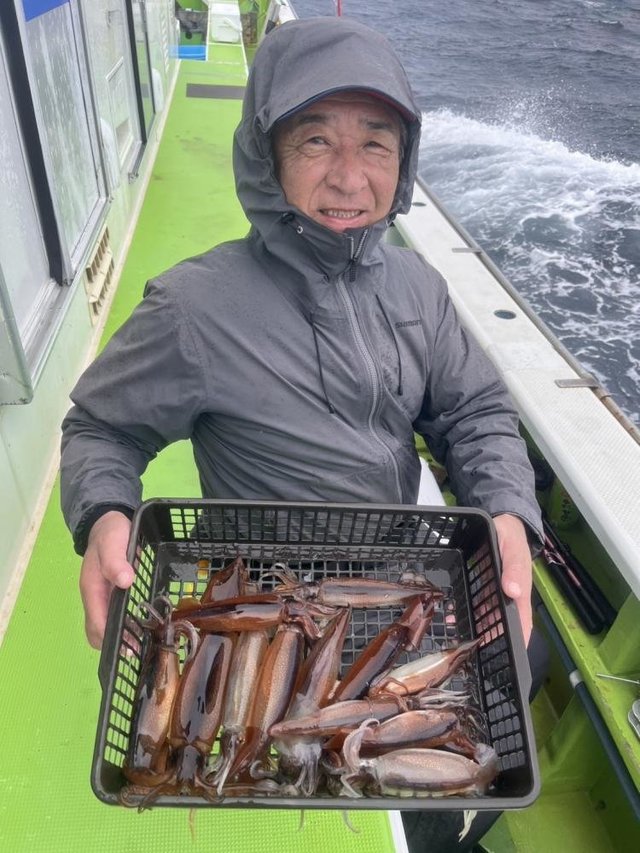 ムギイカ(スルメイカ)