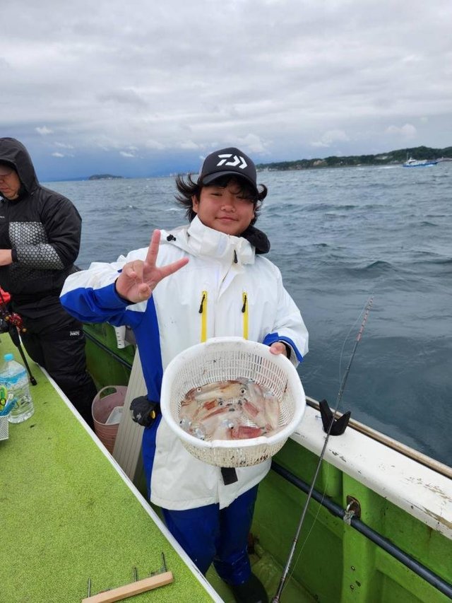 マルイカ(ケンサキイカ)