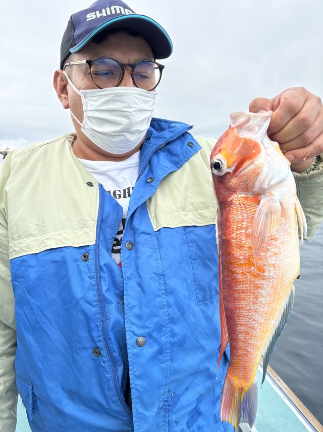 アマダイ(アカアマダイ)