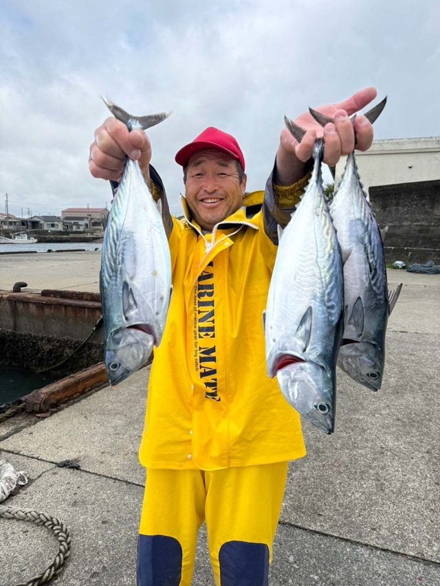 スマガツオ(スマ)