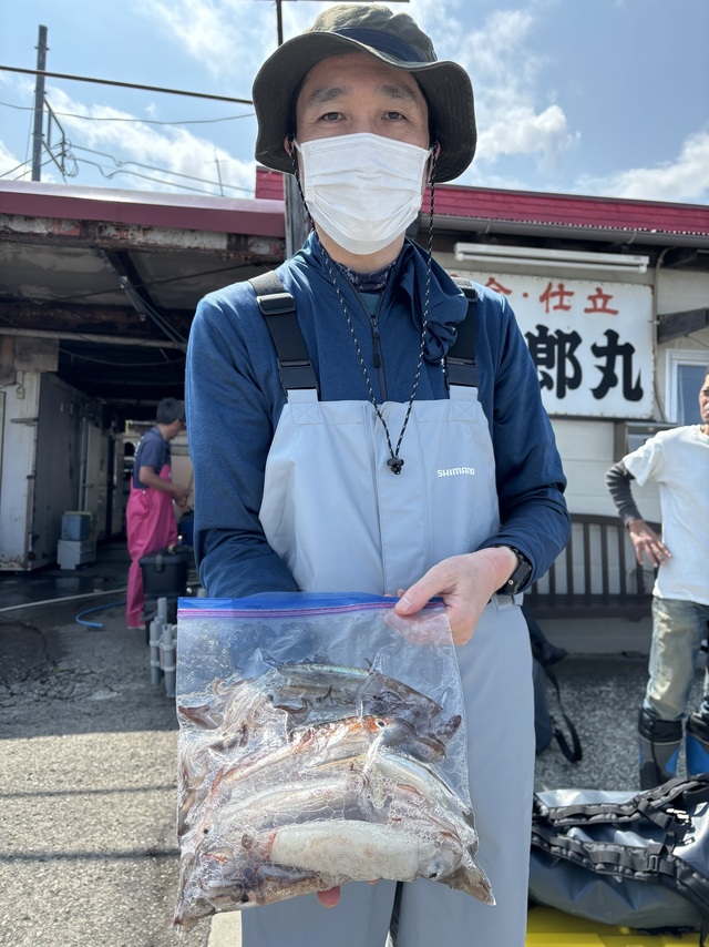 ムギイカ(スルメイカ)