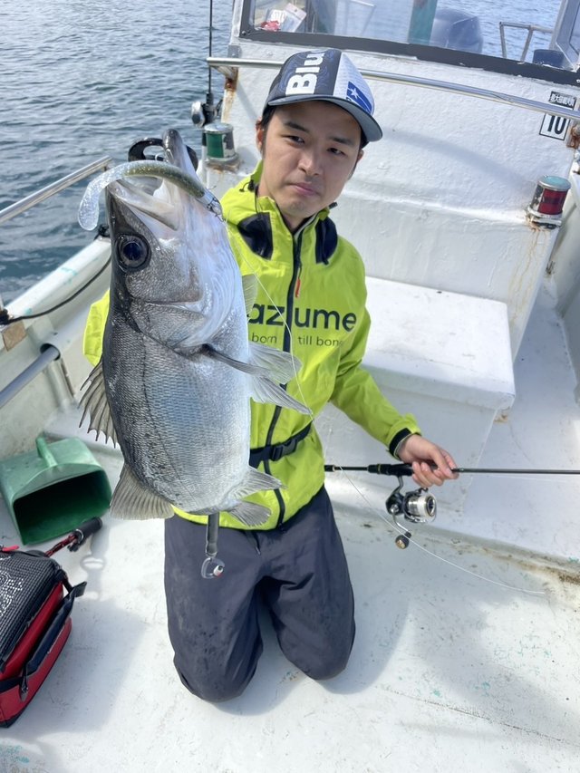 シーバス(スズキ)