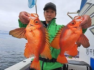 キントキ(チカメキントキ)