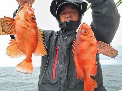 キントキ(チカメキントキ)