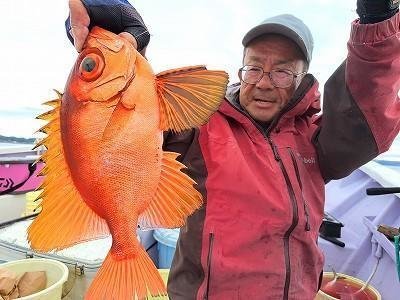 キントキ(チカメキントキ)