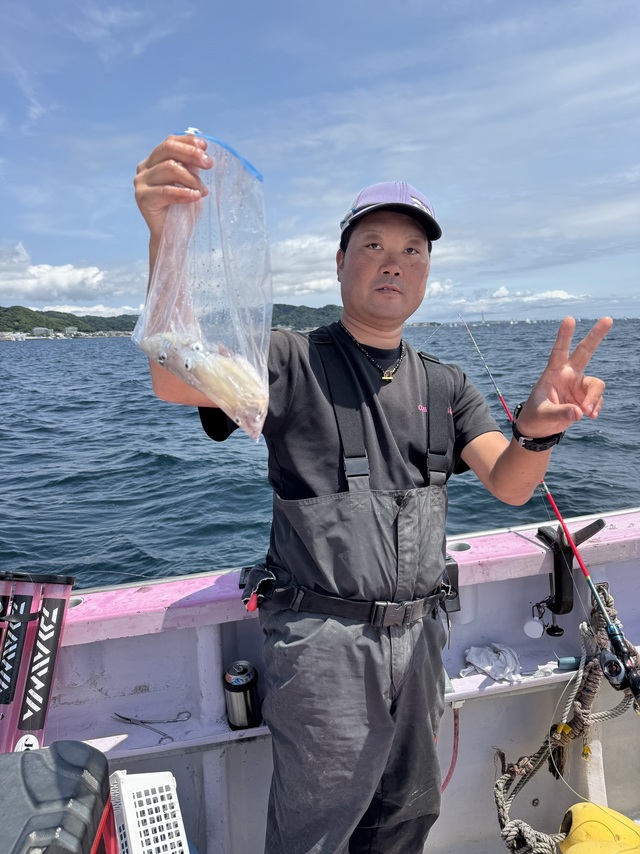 マルイカ(ケンサキイカ)