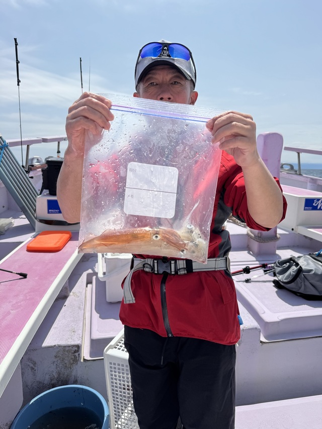 マルイカ(ケンサキイカ)