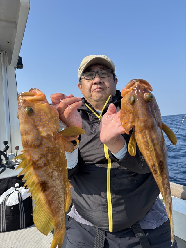 アラカブ(カサゴ)