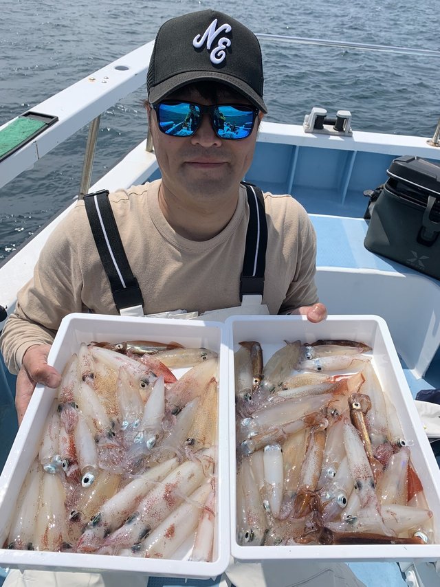 マルイカ(ケンサキイカ)