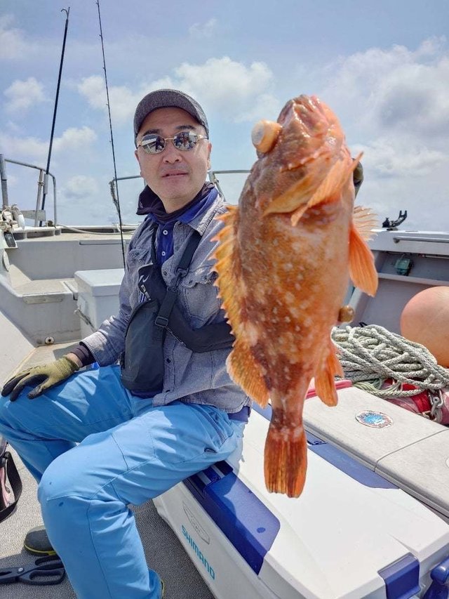 ウッカリカサゴ