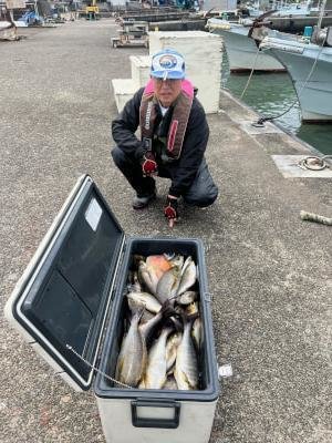 イサギ(イサキ)