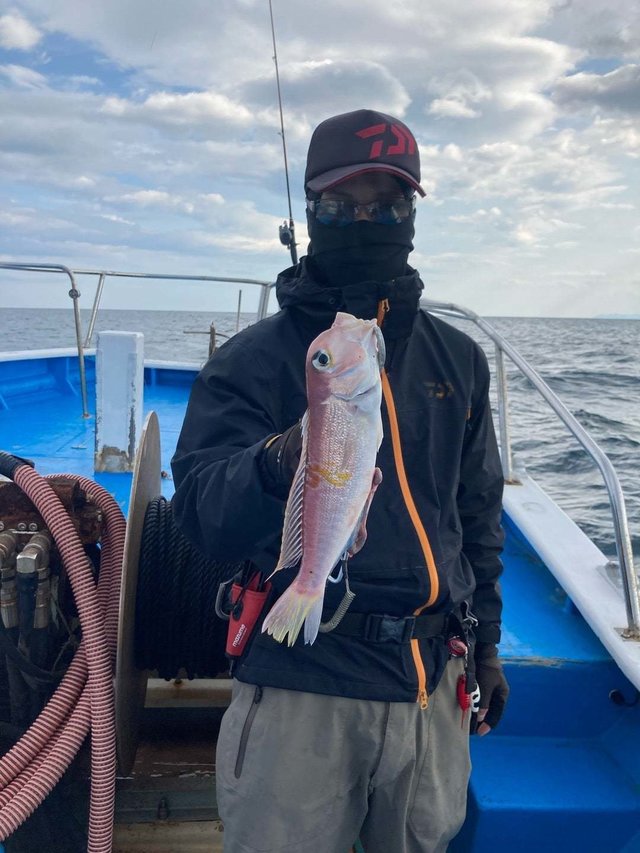 アマダイ(アカアマダイ)